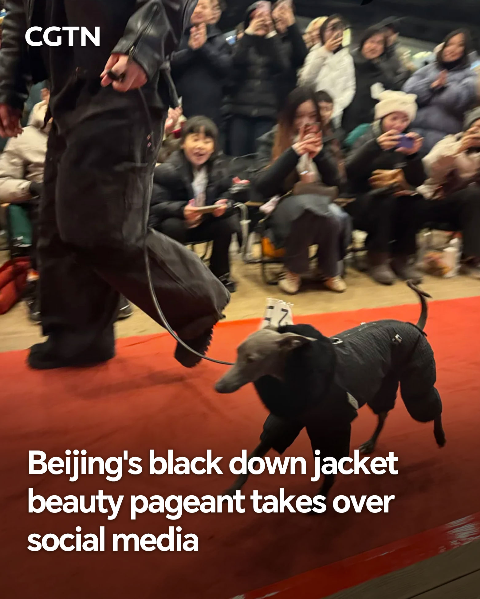 CGTN Facebook ad