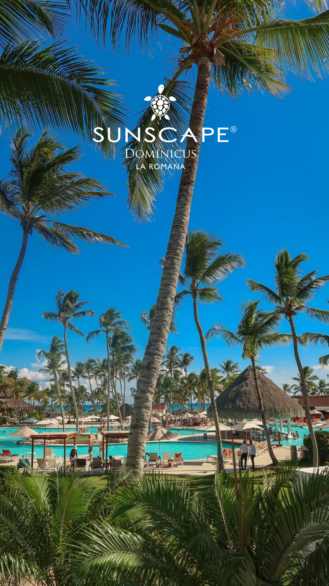 Sunscape Dominicus La Romana Facebook ad from Jun 5, 2026