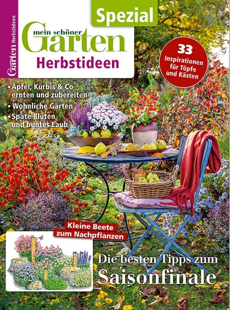 Abo-direkt.ch Facebook ad: Jetzt dein Wunschabo zum Sparpreis finden & 1000…
