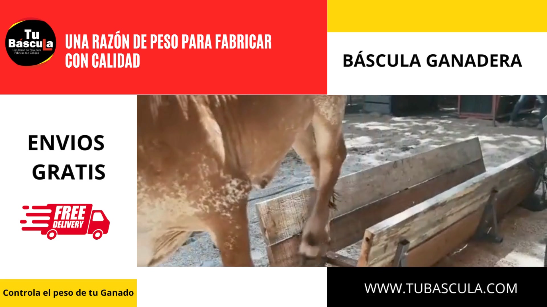 Tu Bascula Facebook ad: ¡Potencia tu ganadería con nuestra Bascula Ganadera…