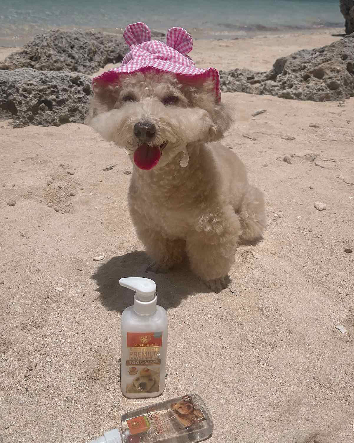 Saint Roche Premium Dog Shampoo Facebook ad