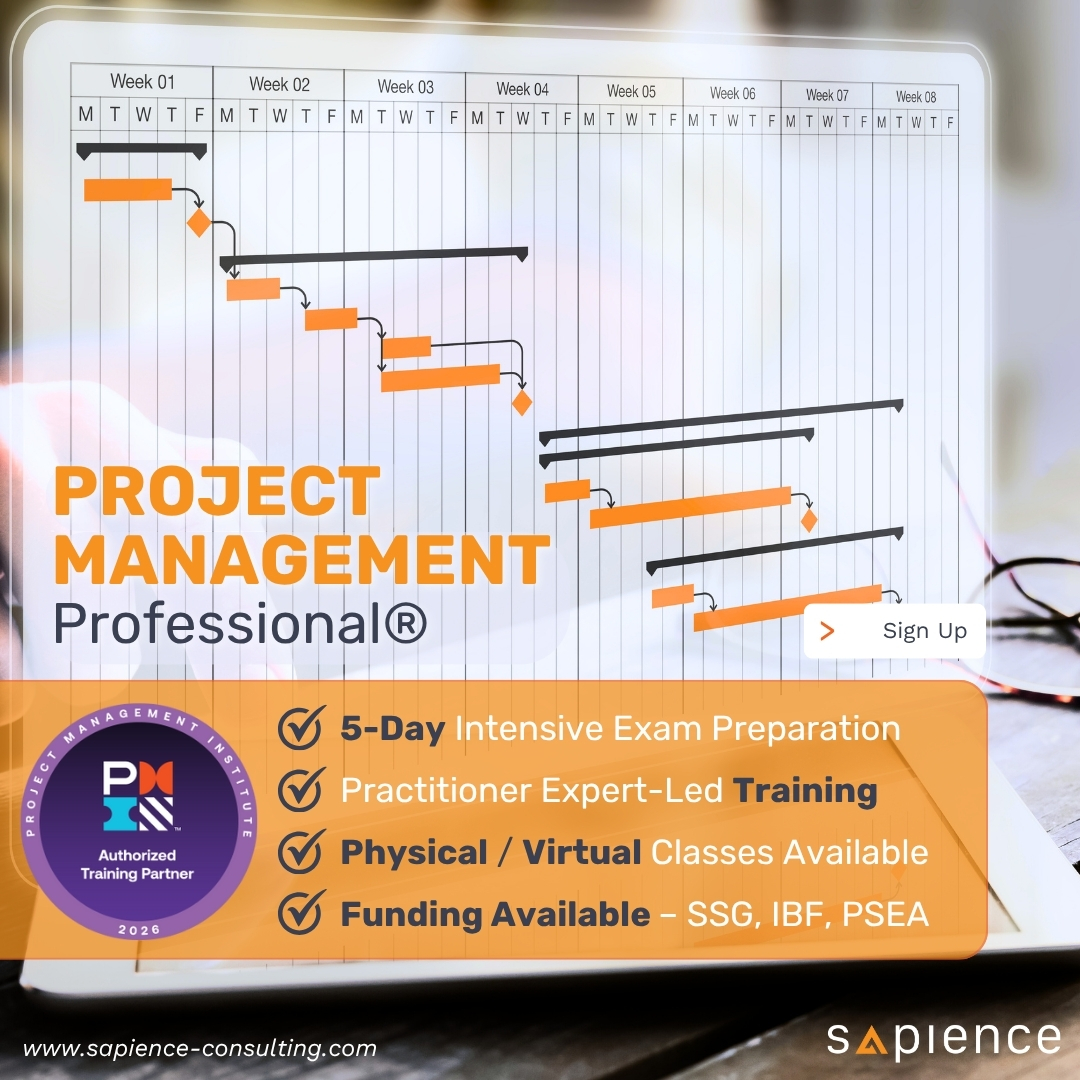 Sapience Consulting Facebook ad
