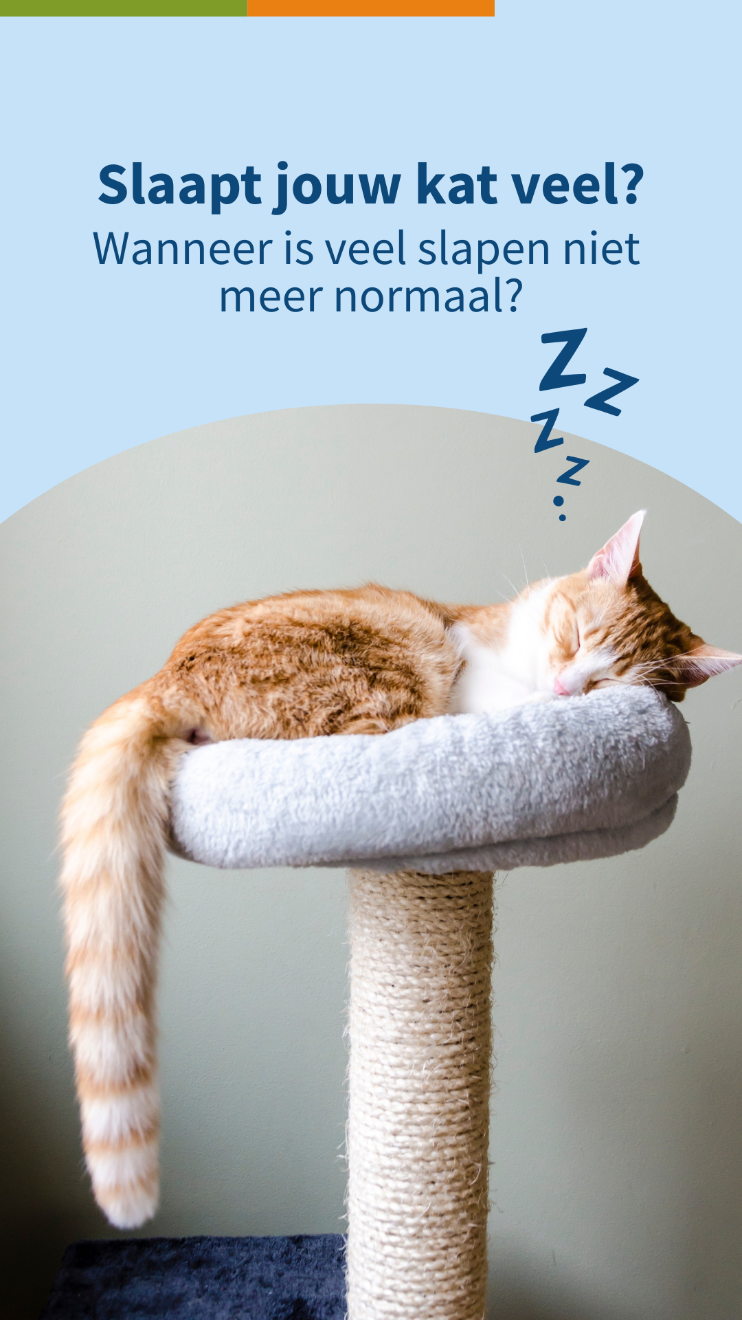 Medpets Facebook ad