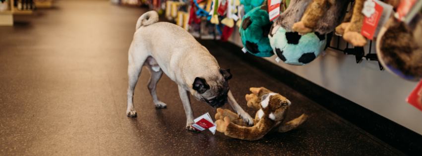 Give a Dog a Bone Facebook ad: We're proud to be Evansville's health food store…