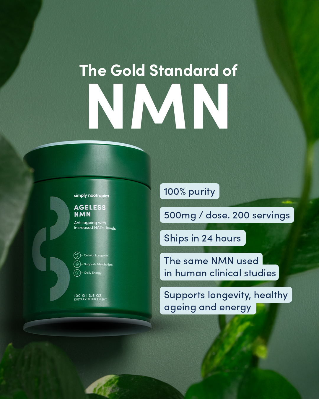 Simply Nootropics Facebook ad
