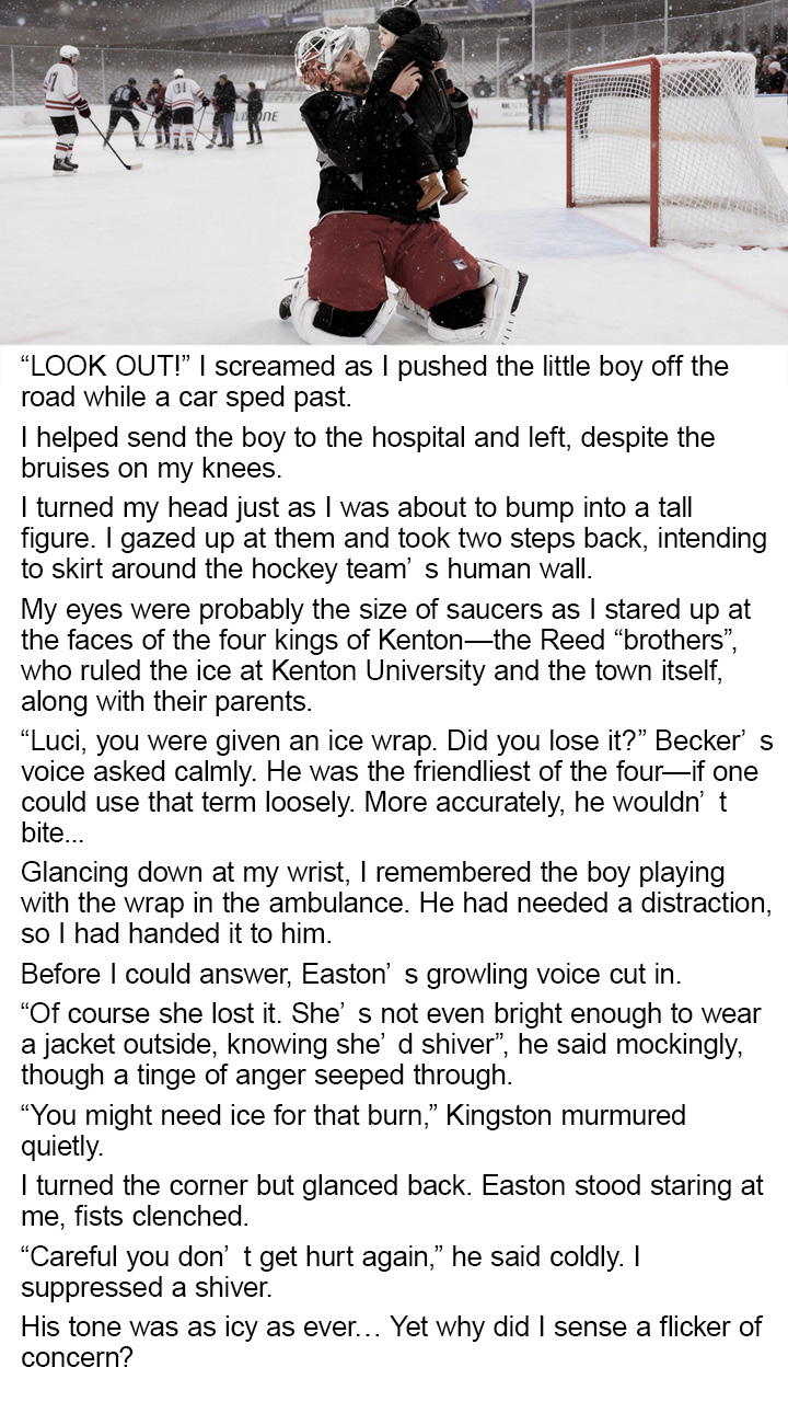 Romantic Novels-Storys Facebook ad: reading the uncensored version Holiday Hockey Tale: The…