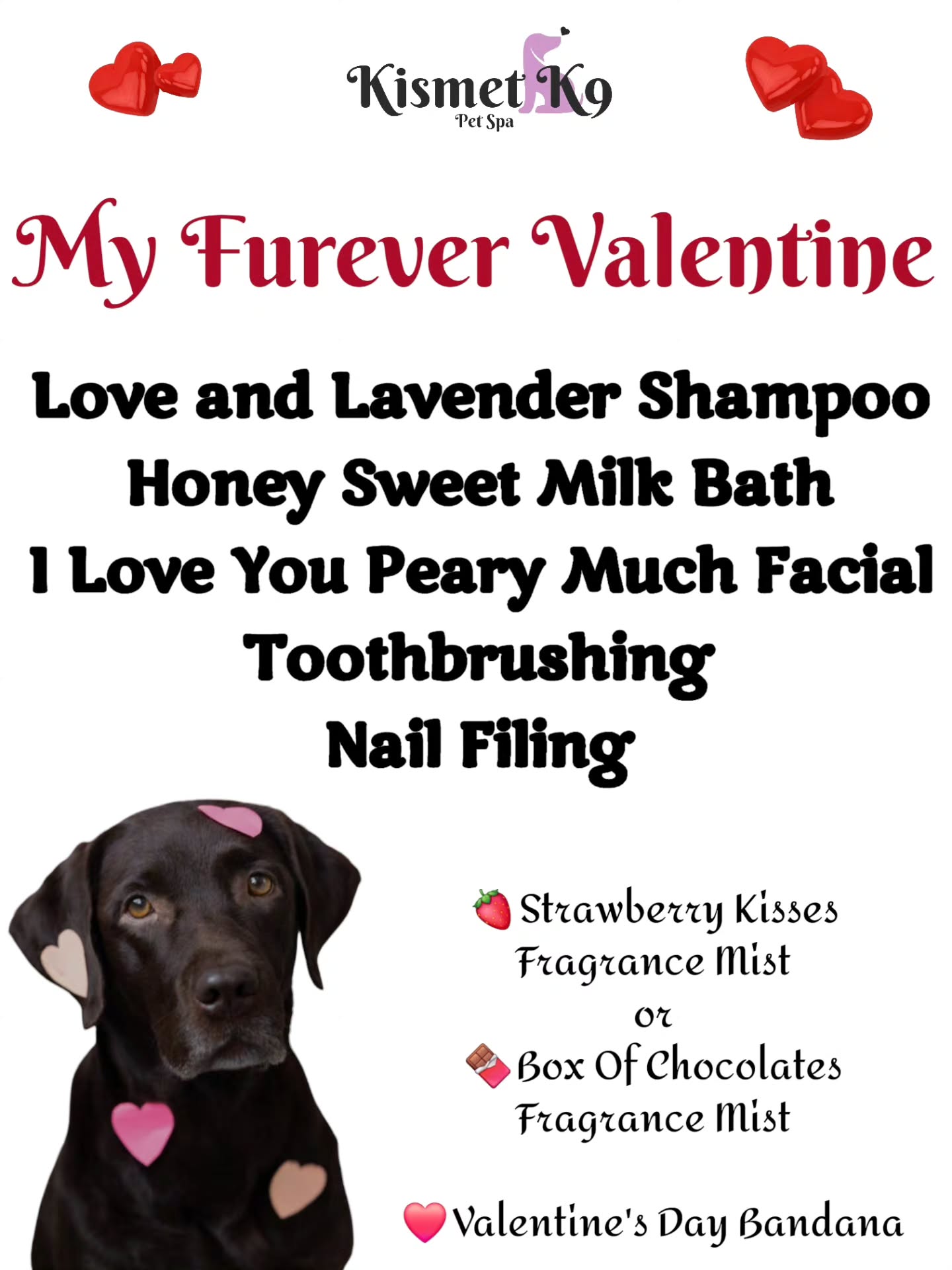 Kismet K9 Pet Spa Facebook ad: Starts tomorrow!