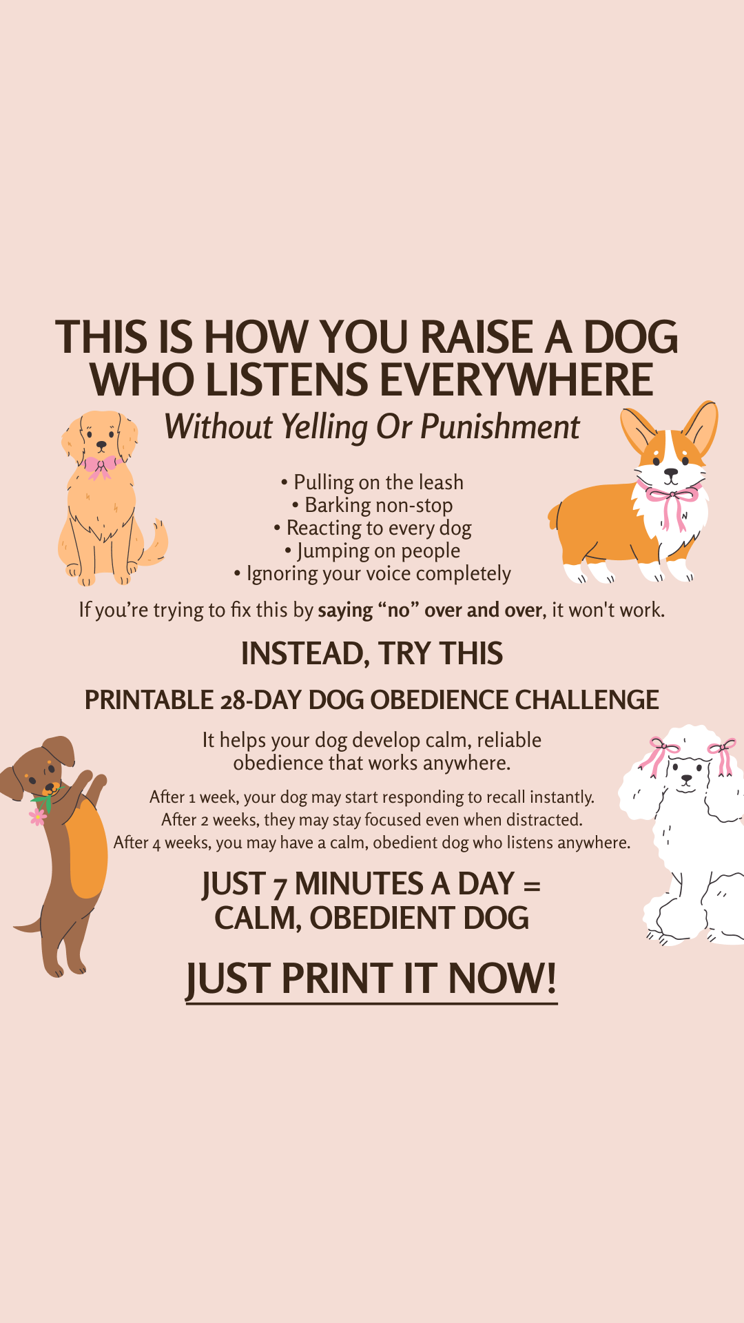 28 Day Dog Obedience Challenge Facebook ad