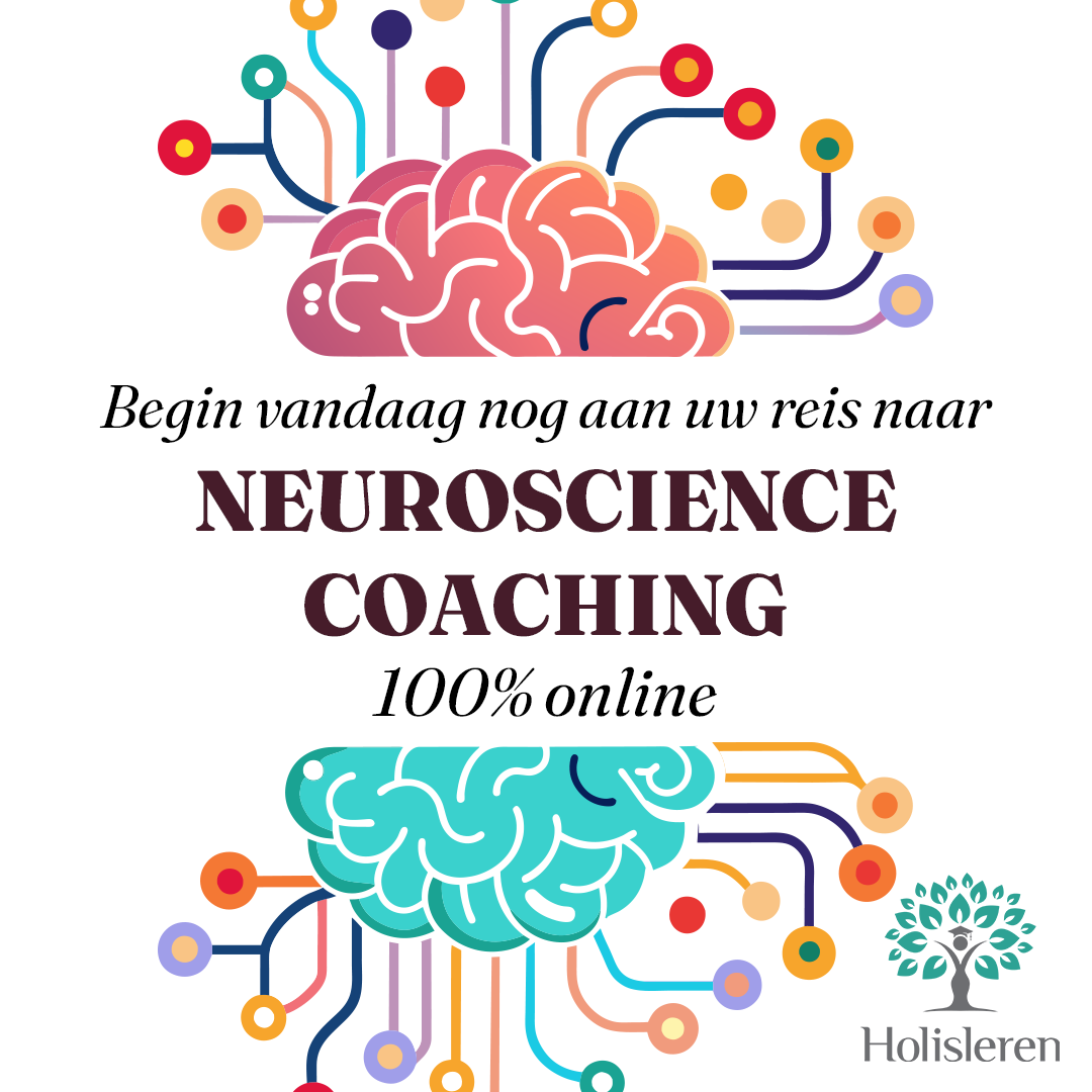 Holisleren Facebook ad