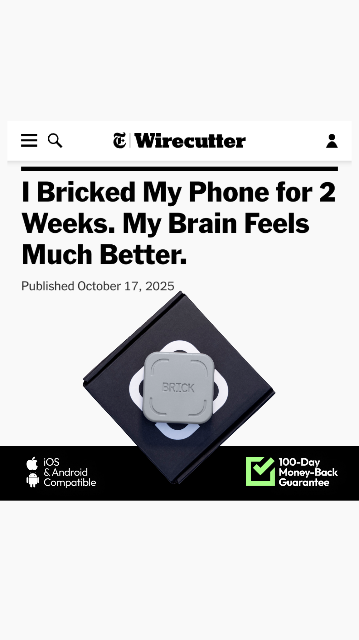 Brick - Take Back Your Time Facebook ad
