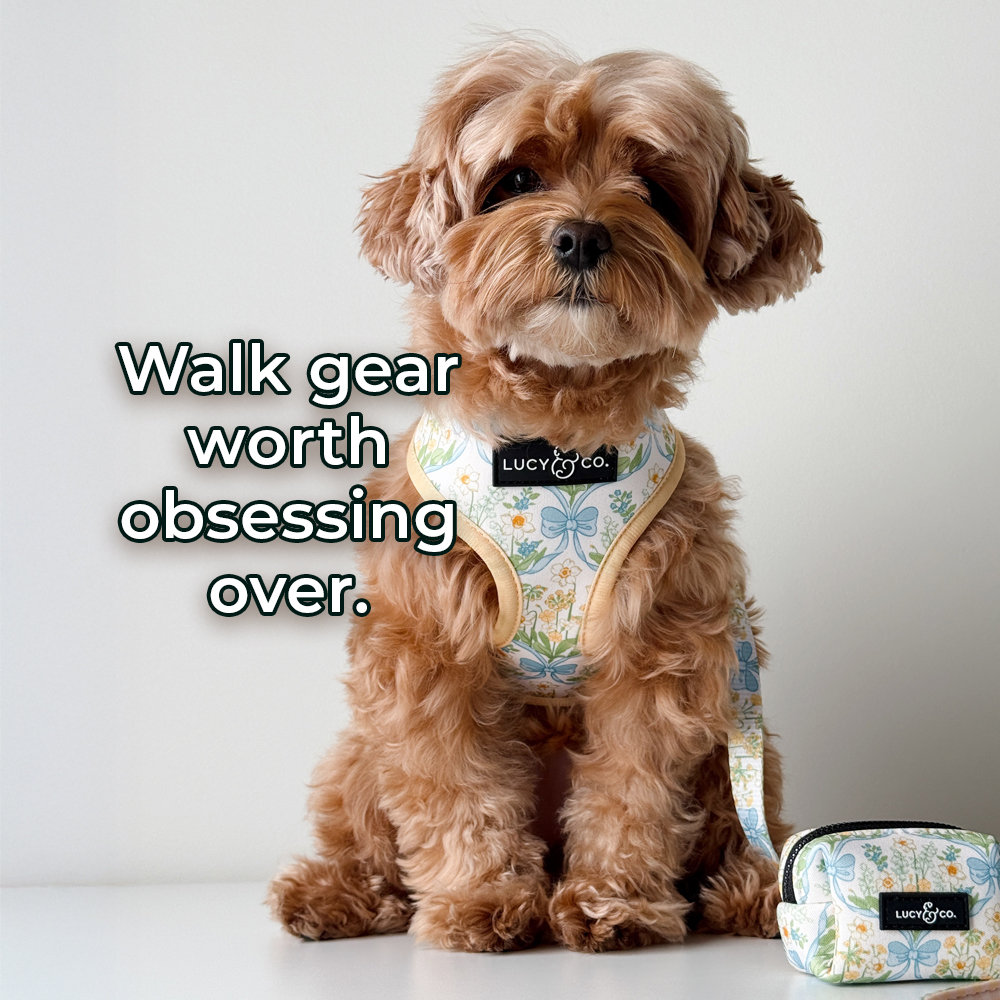Lucy & Co. Facebook ad