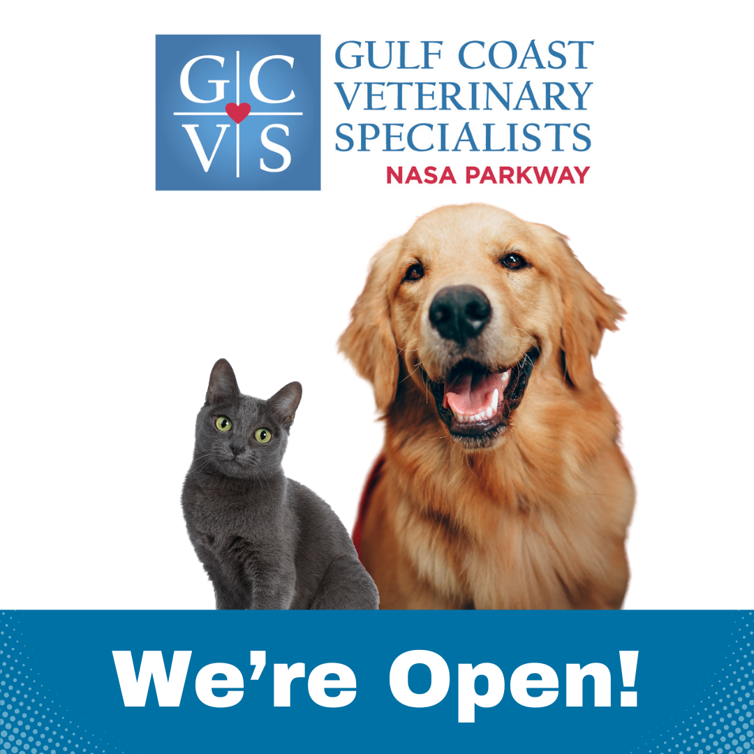 Gulf Coast Veterinary Specialists Facebook ad