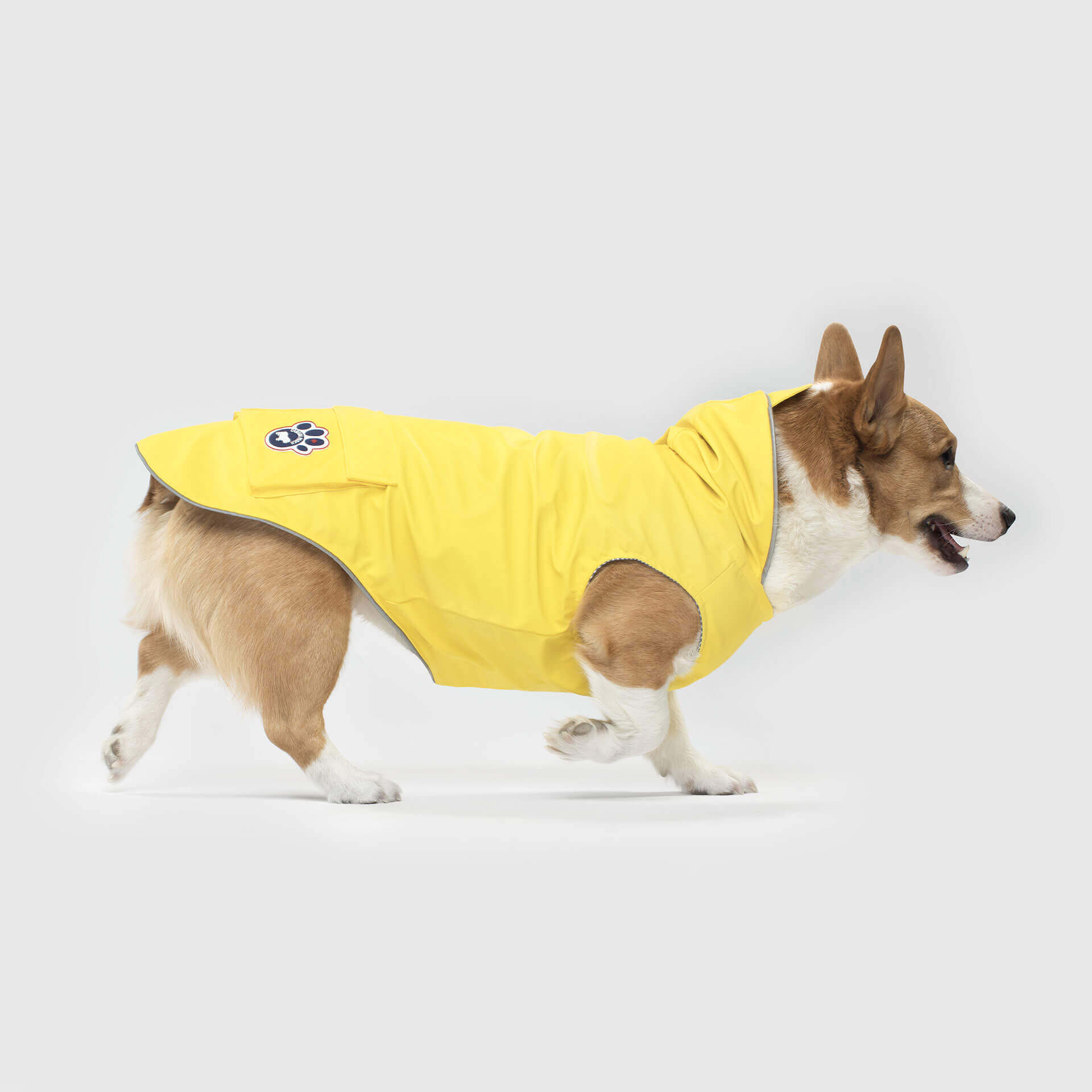 Canada Pooch Facebook ad