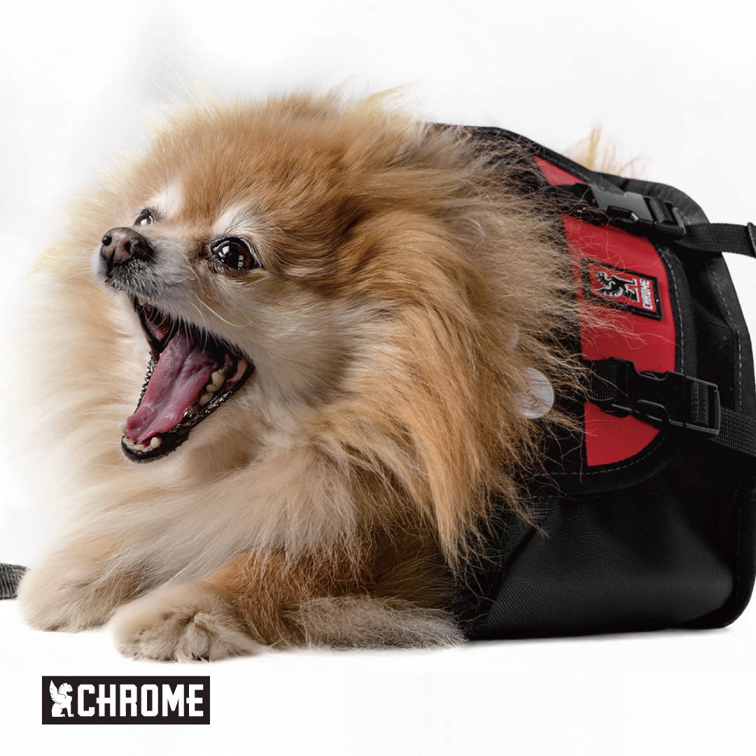 Chrome Industries Japan Facebook ad: 【DOG BAG】