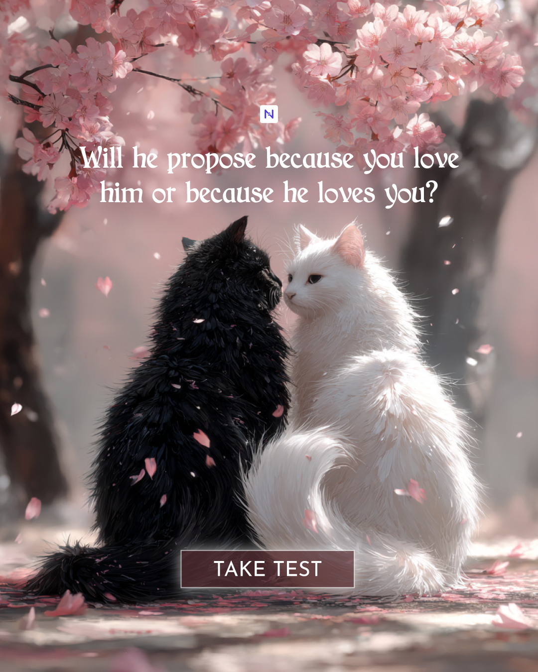 Nebula: Marriage Compatibility Facebook ad