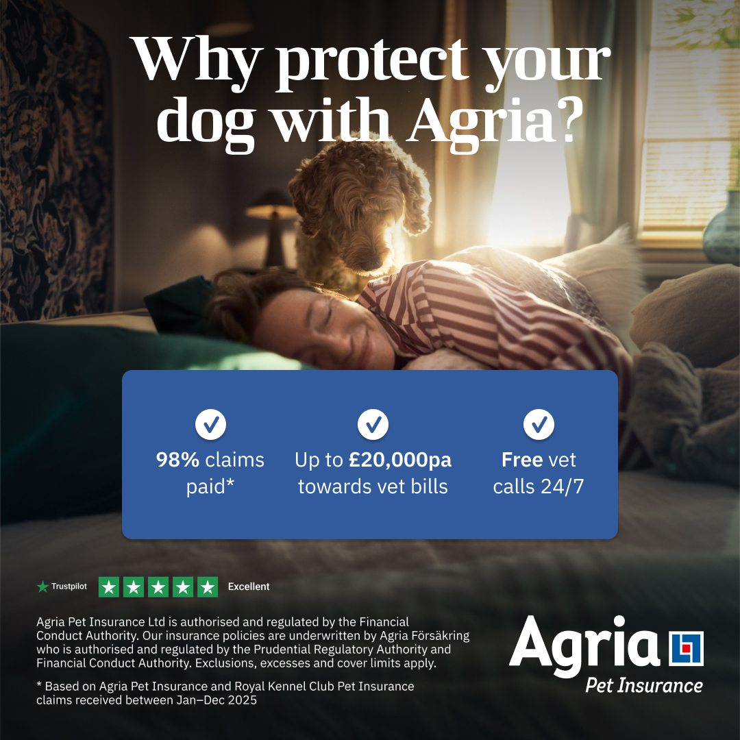 Agria Pet Insurance Facebook ad: Use code LOVE for a FREE luxury hamper.