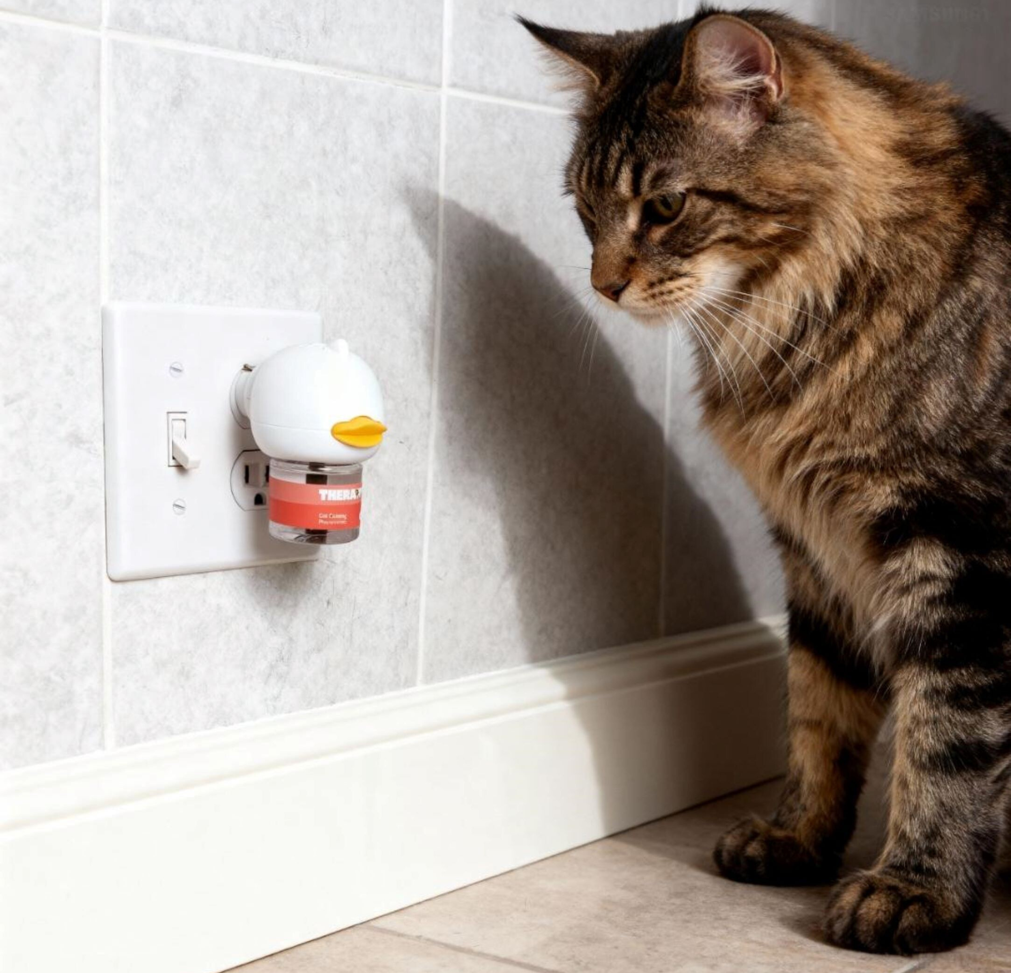 Vet approved products Facebook ad