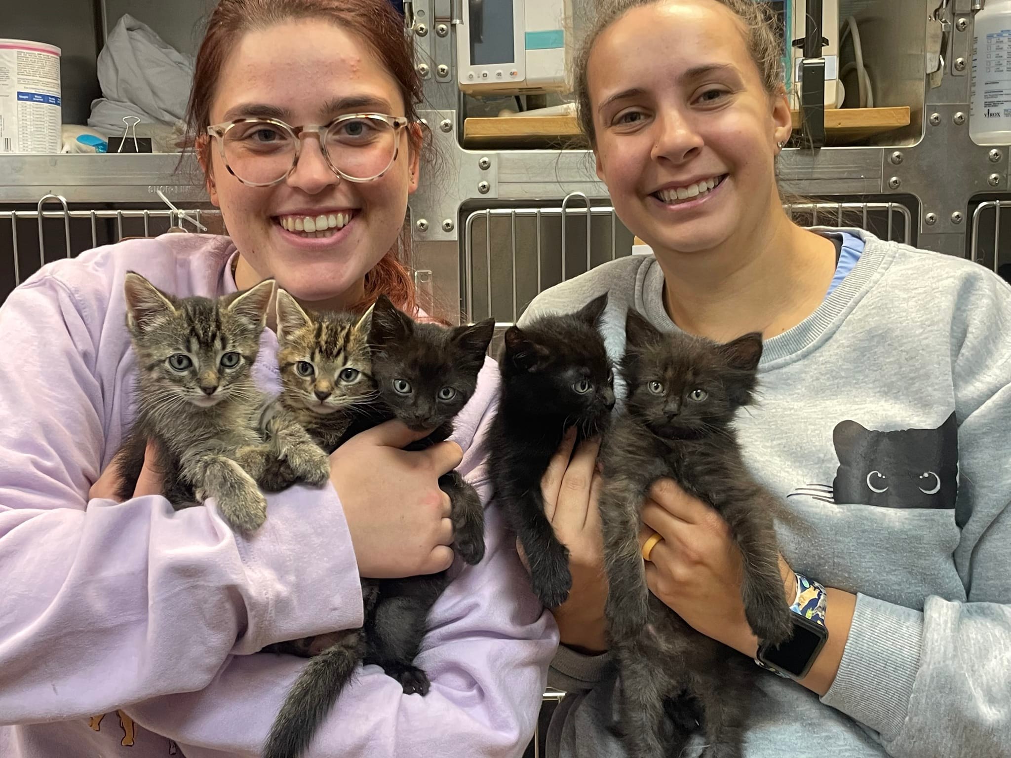 Forest Hill Animal Hospital Facebook ad: Forest Hill Animal Hospital