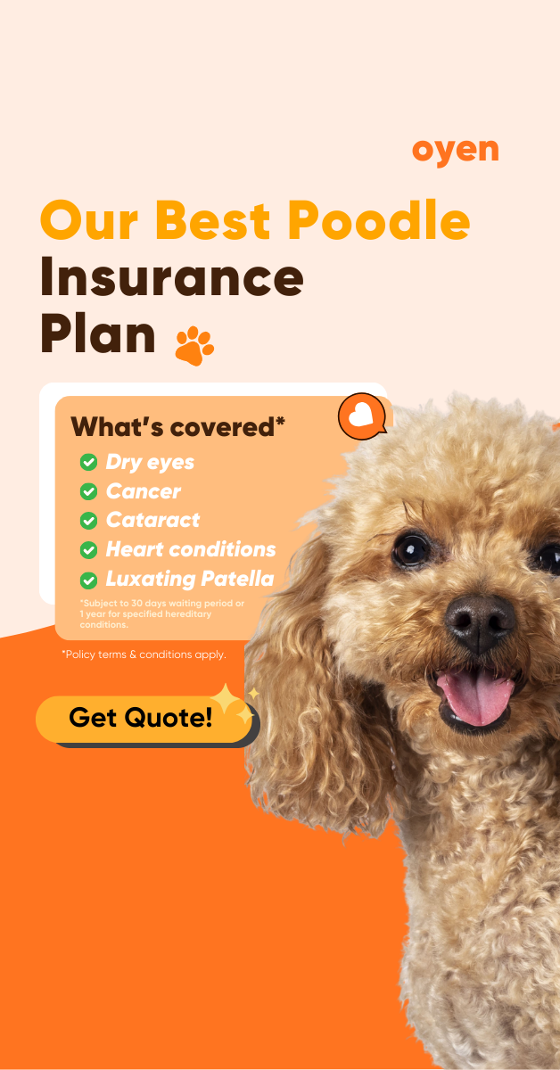 Oyen Pet Insurance & Takaful Kucing Facebook ad