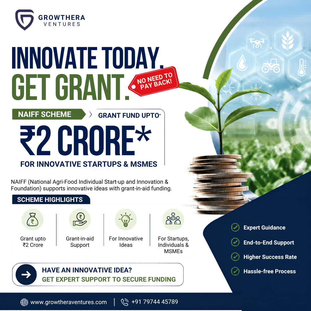 Growthera Services Facebook ad: NAIFF Grant For Innovative Startups