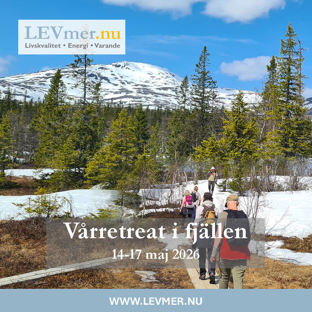LEVmer.nu Facebook ad: Fjällretreat med LEV mer nu