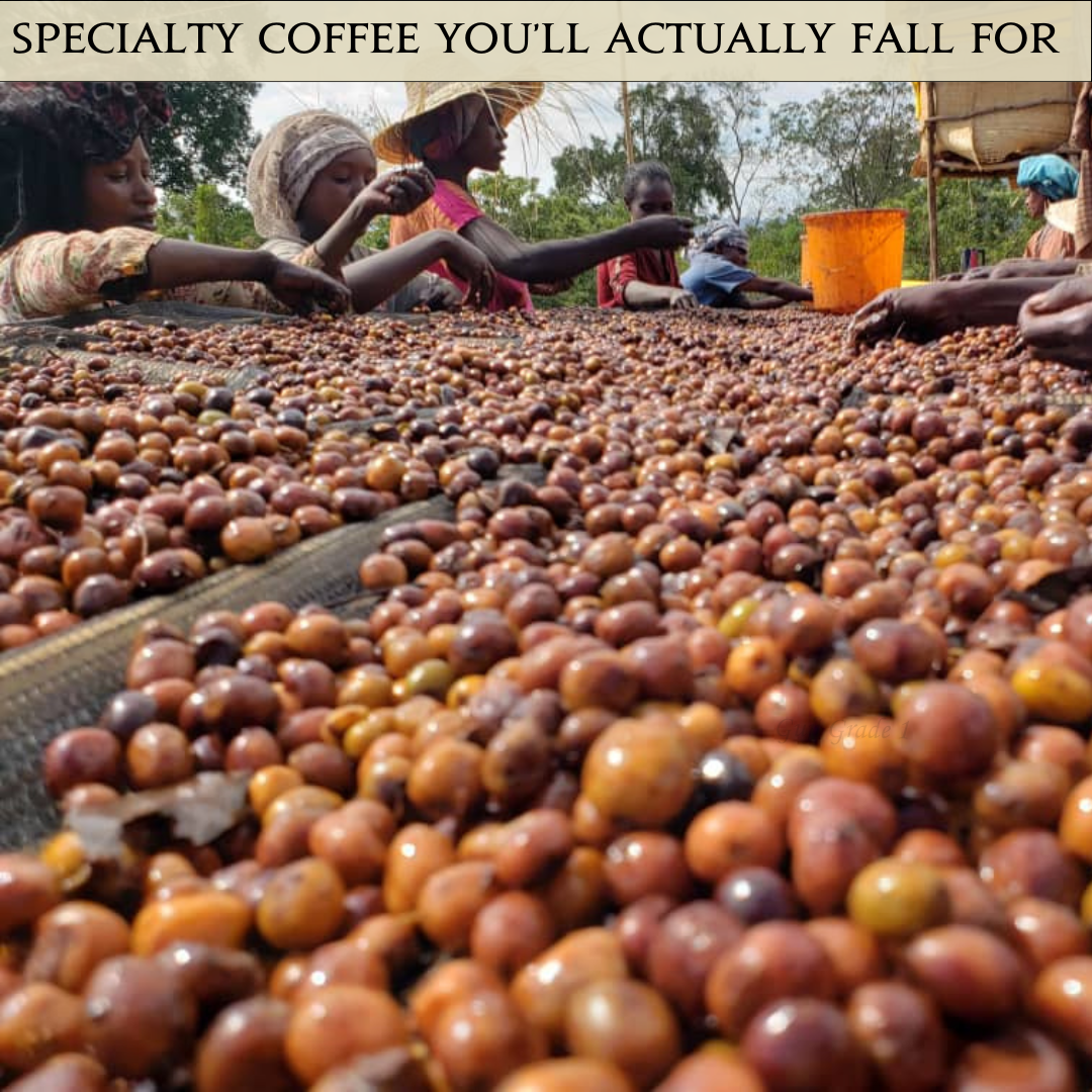 Coffeelink Facebook ad