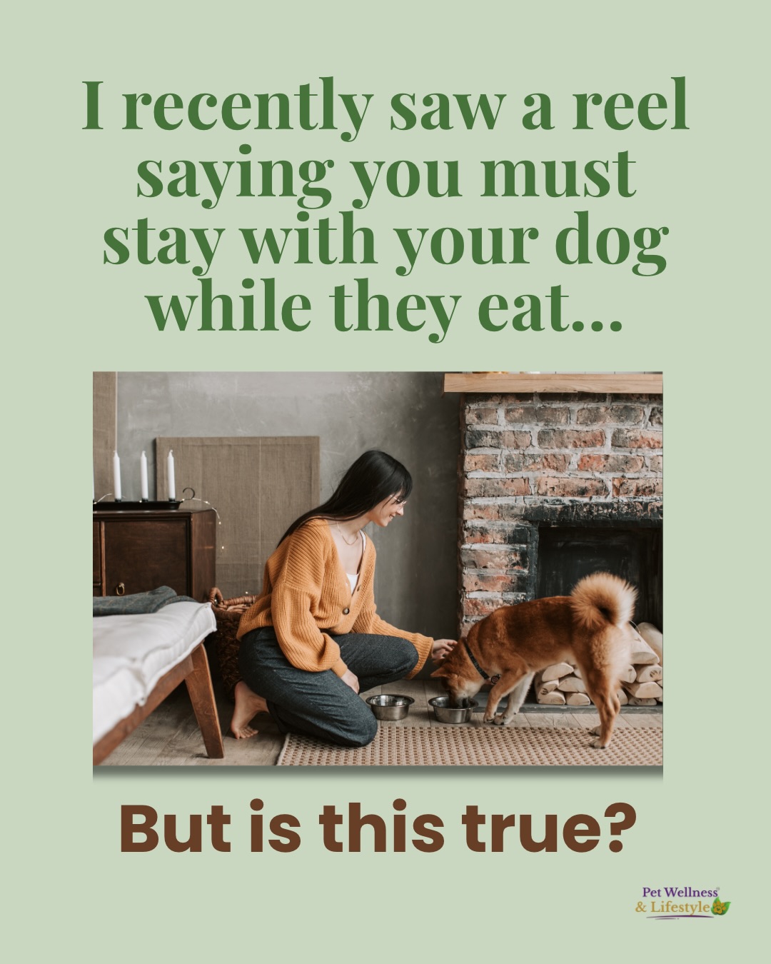 Pet Wellness & Lifestyle Facebook ad: I recently came across a reel saying you…
