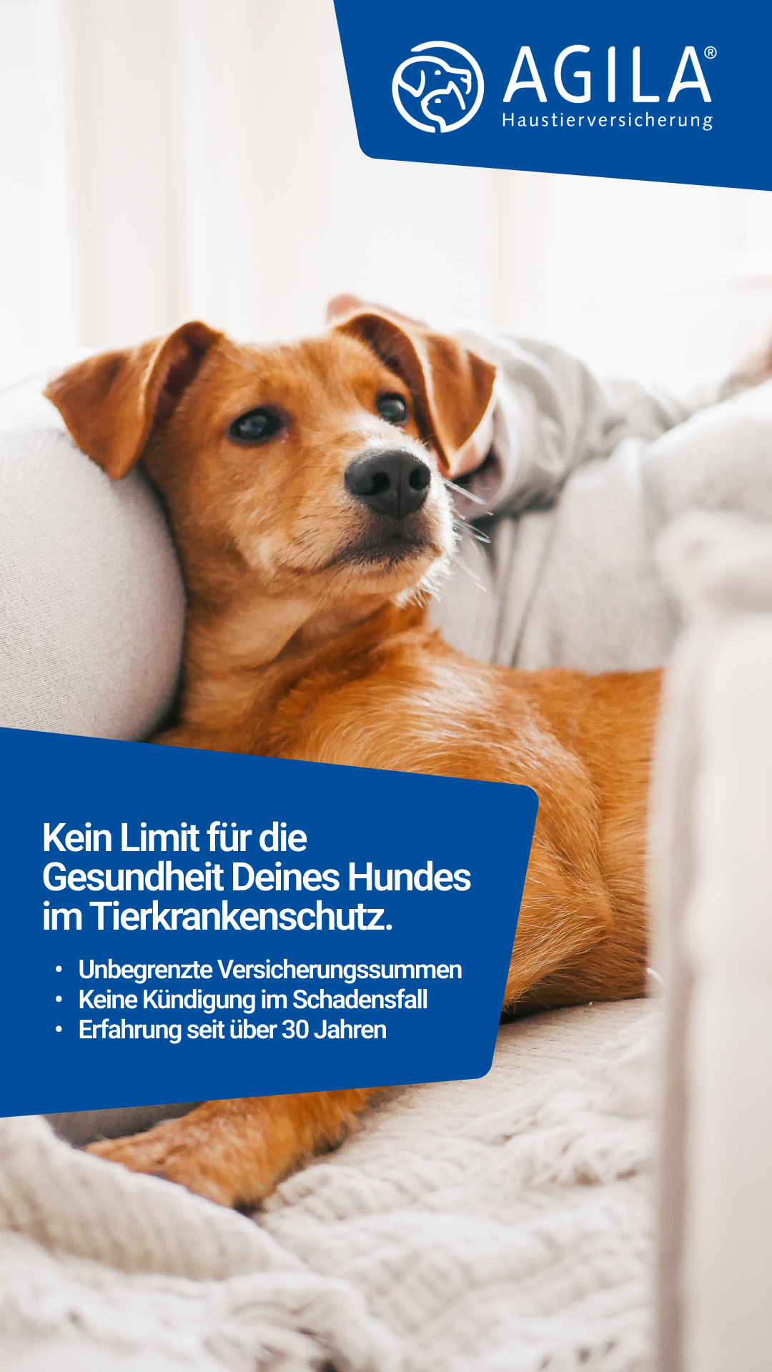 AGILA Haustierversicherung Facebook ad: AGILA Hundeversicherung