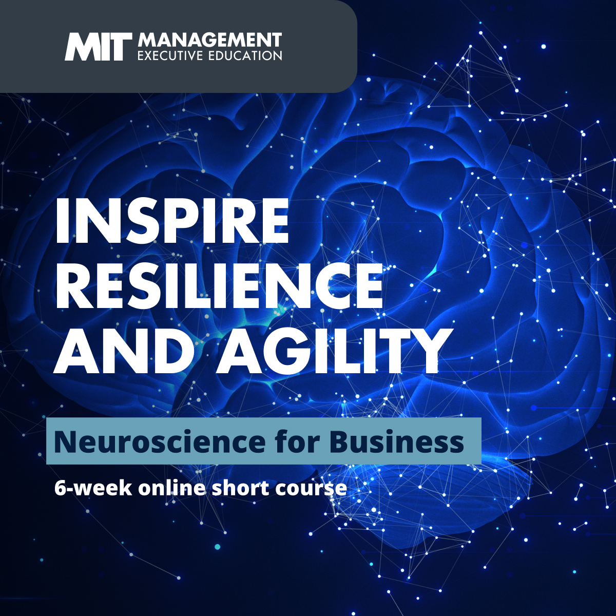 MIT Sloan Executive Education Facebook ad
