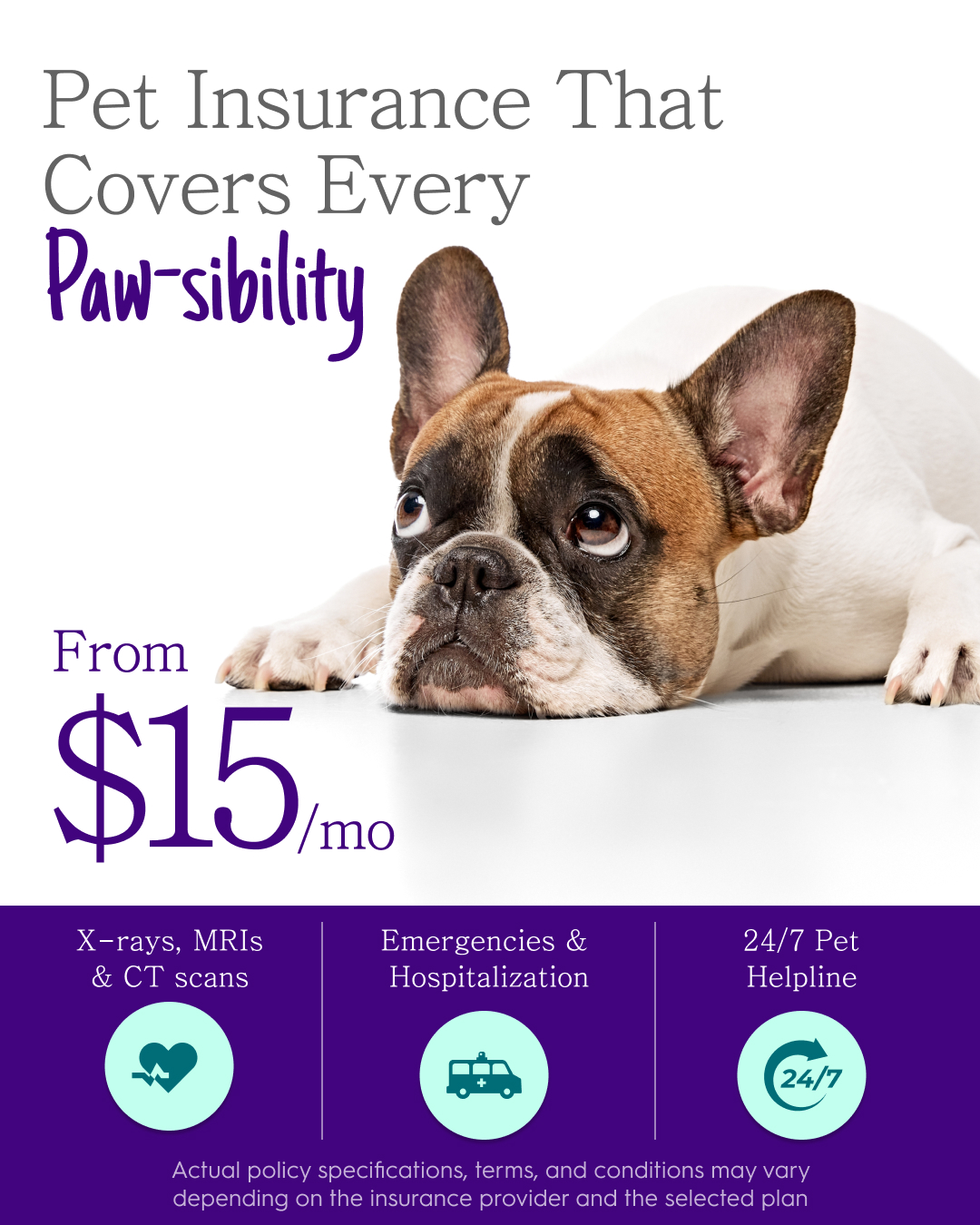 BestMoney Pet Insurance Facebook ad