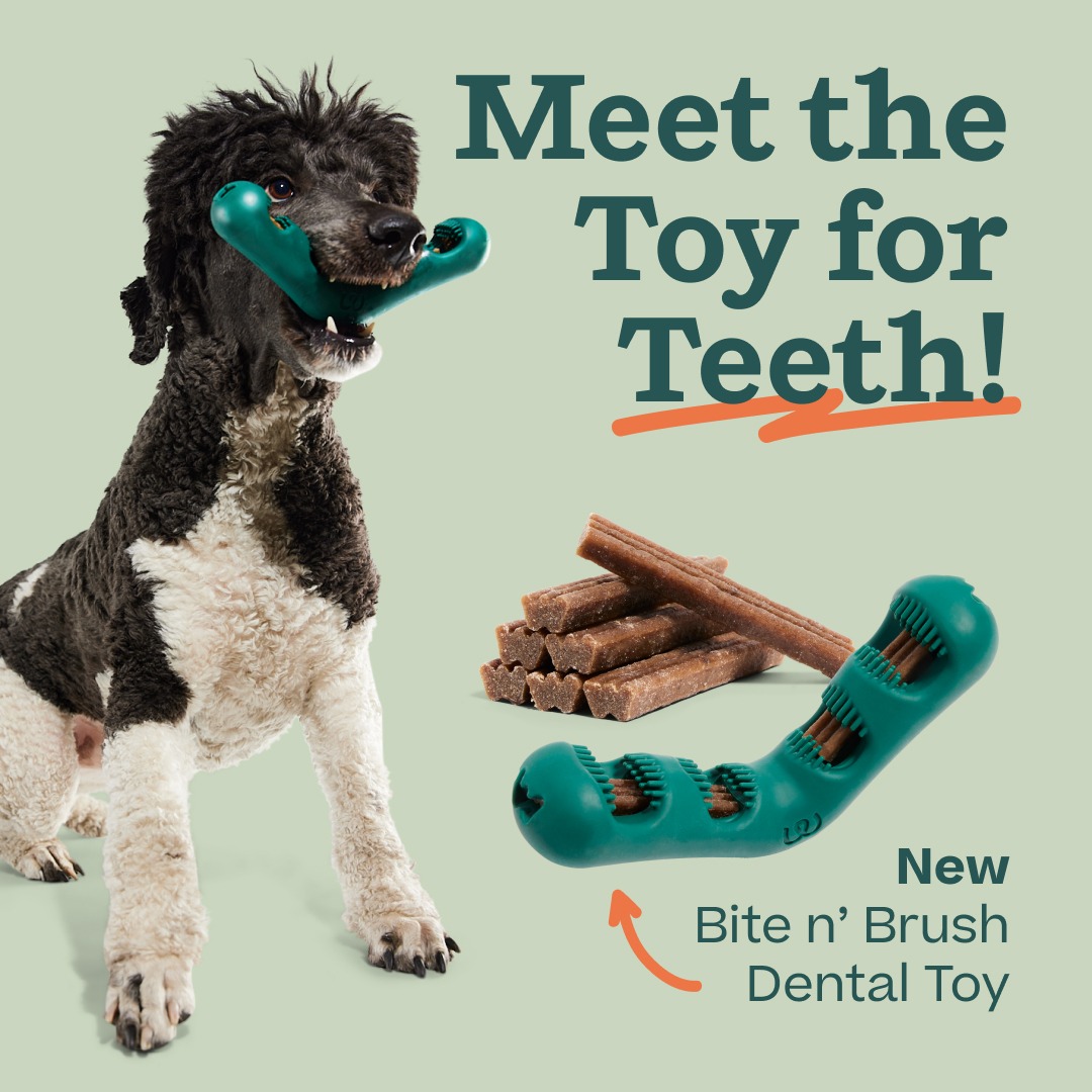 Woof Facebook ad