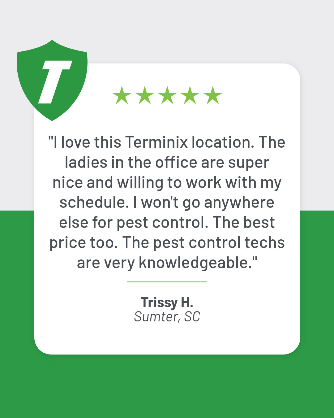 Terminix Service, Inc. Facebook ad