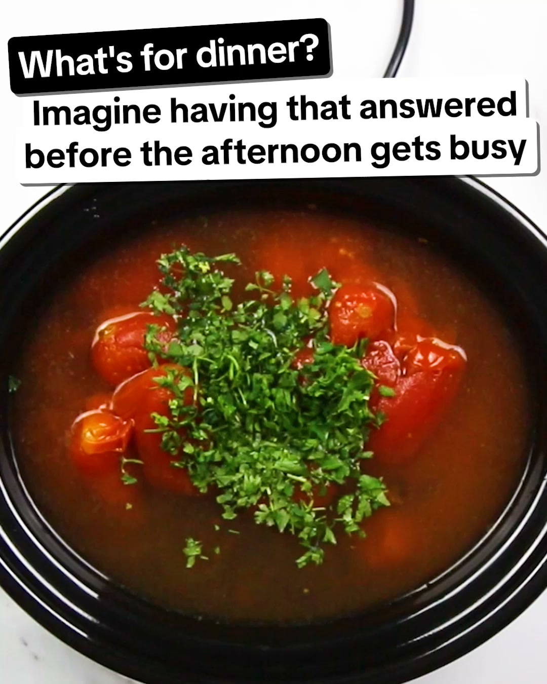 Noochy Licious Facebook ad: Claim Your FREE Slow Cooker Book Today!