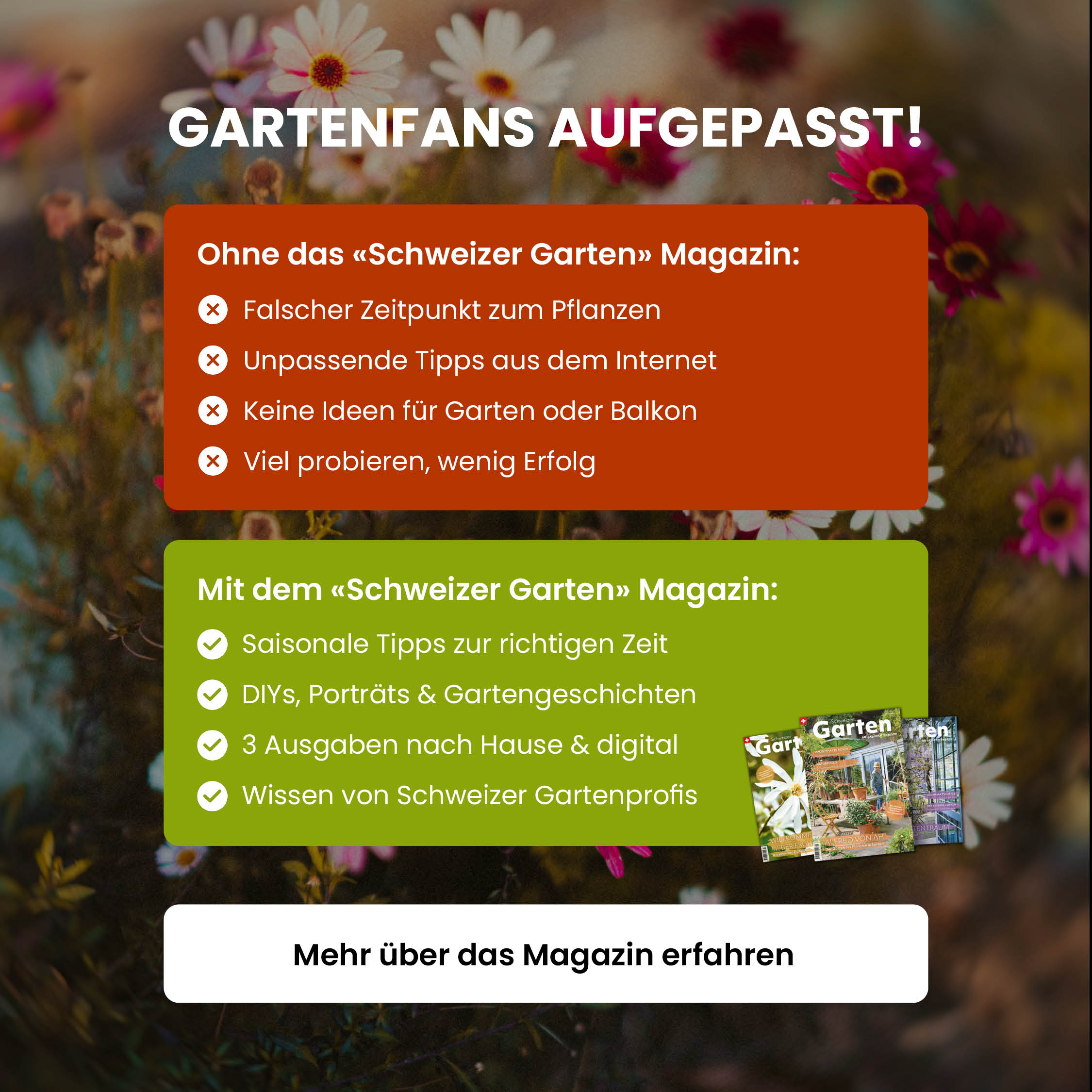Schweizer Garten Facebook ad: Garten, fertig, los!