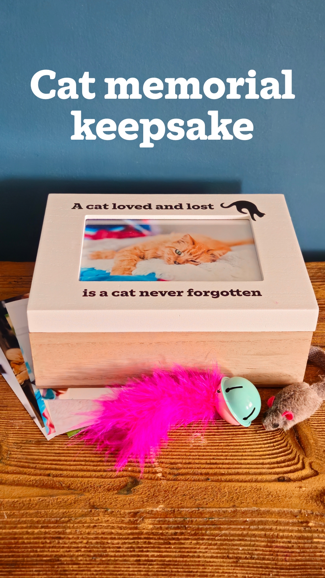 Cats Protection Facebook ad