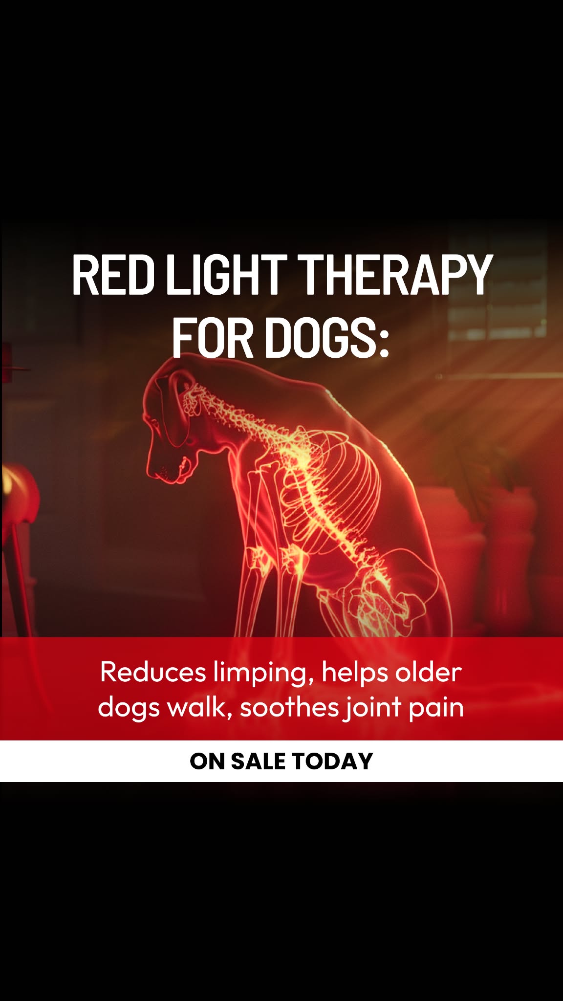 Helio Pet Facebook ad