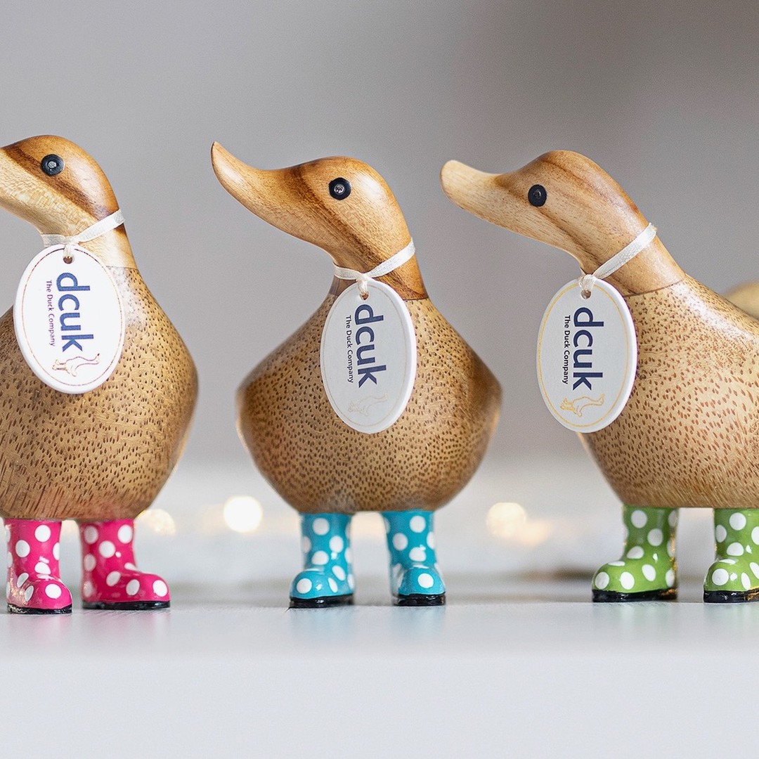Ducks-N-Stuff Facebook ad: DucksDucksDucks - Etsy