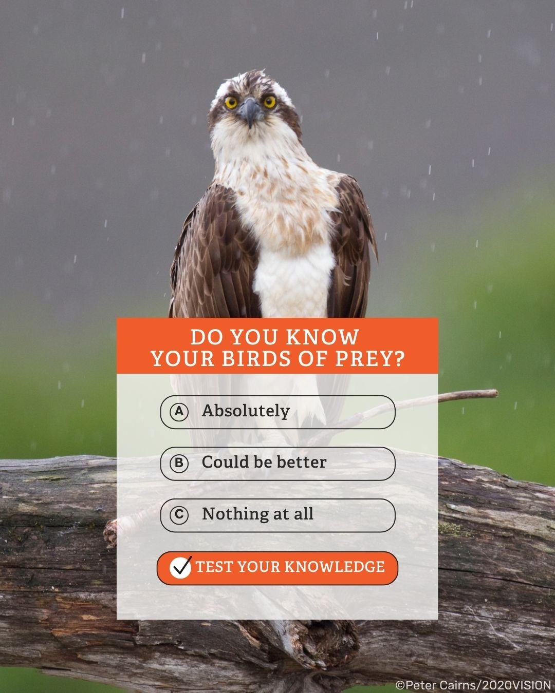 The Wildlife Trusts Facebook ad