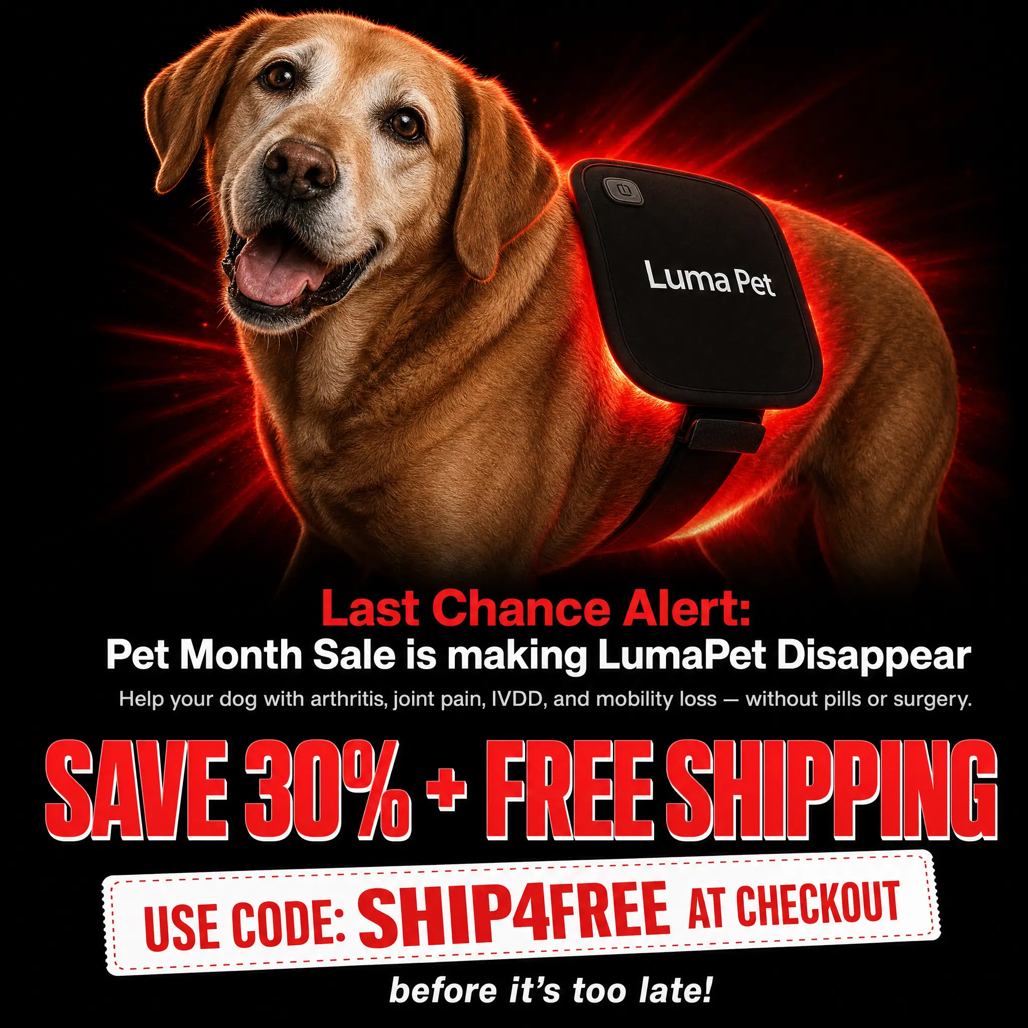 Luma Pet Facebook ad