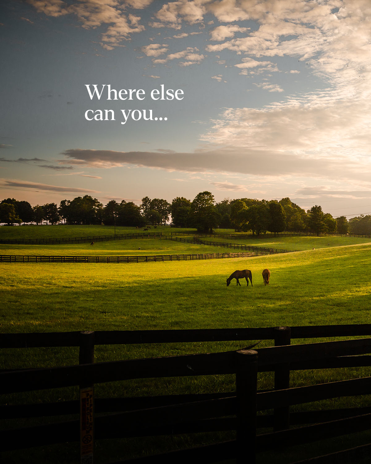 Visit LEX Facebook ad: File this under views (and encounters) you can…