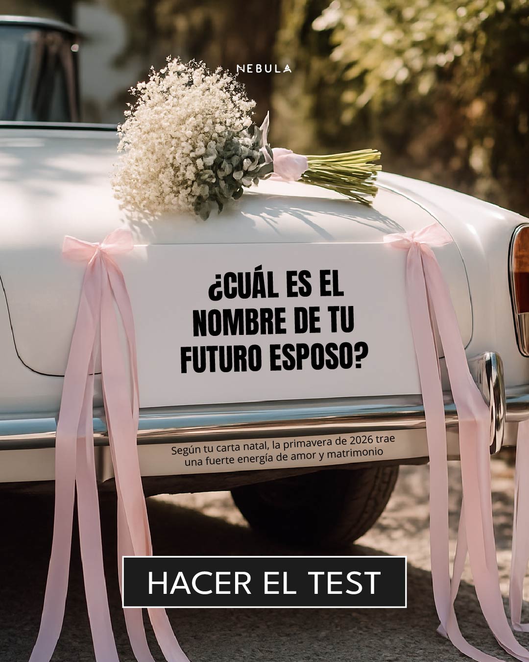 Nebula: Marriage Compatibility Facebook ad