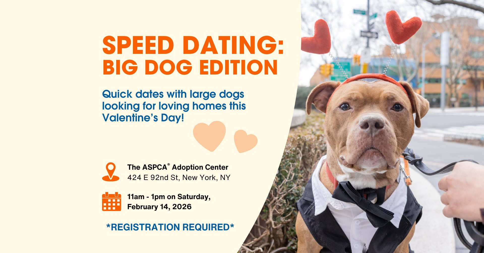 ASPCA Facebook ad