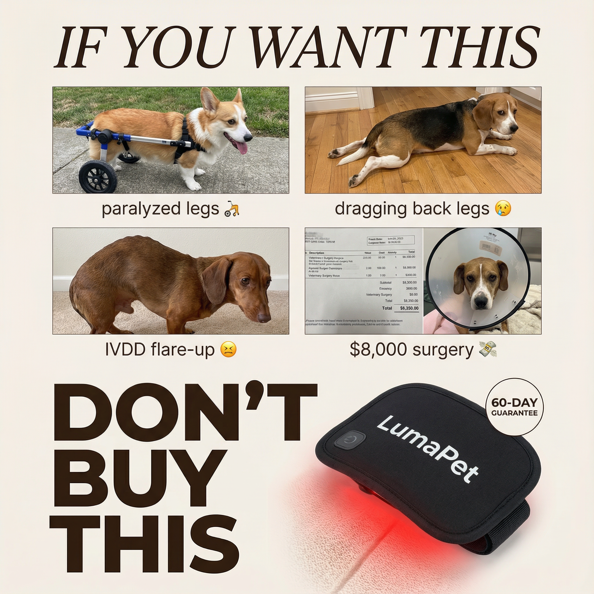 Emma & Her Doxie Facebook ad