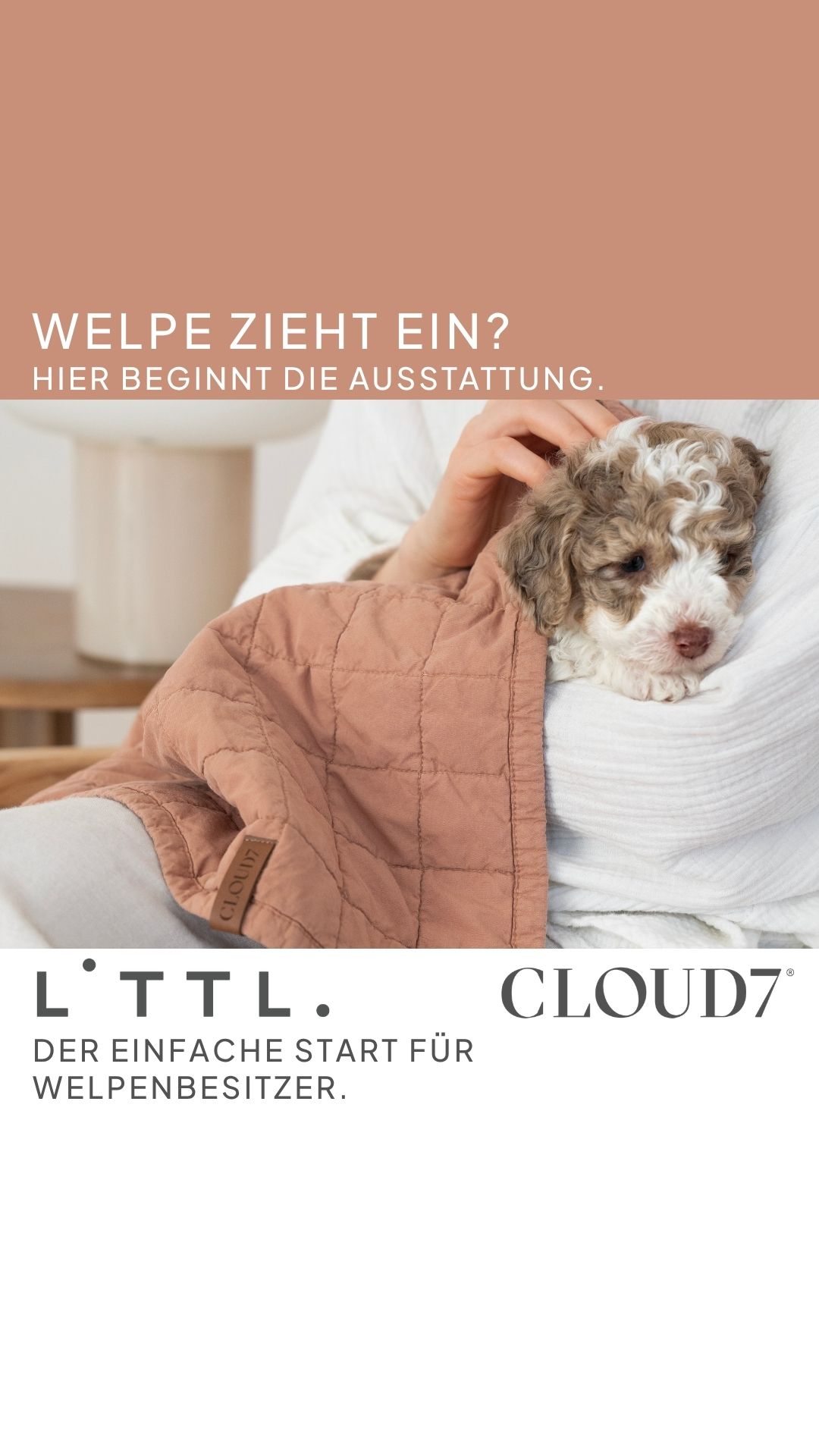 Cloud7 Facebook ad