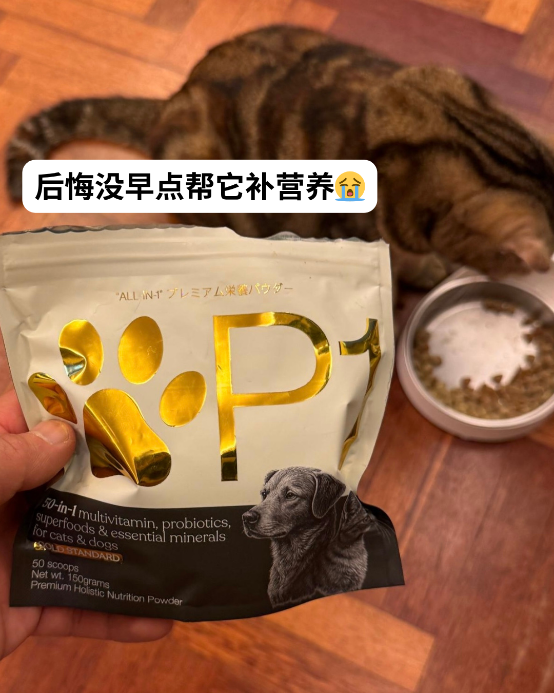 P1 - 猫狗全方位营养 Facebook ad