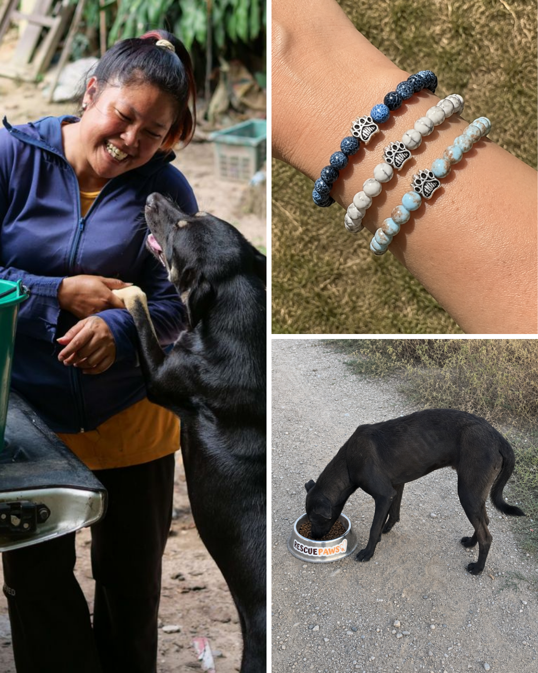 Rescue Paws Facebook ad