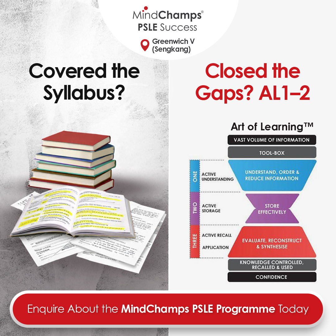 MindChamps Enrichment Facebook ad
