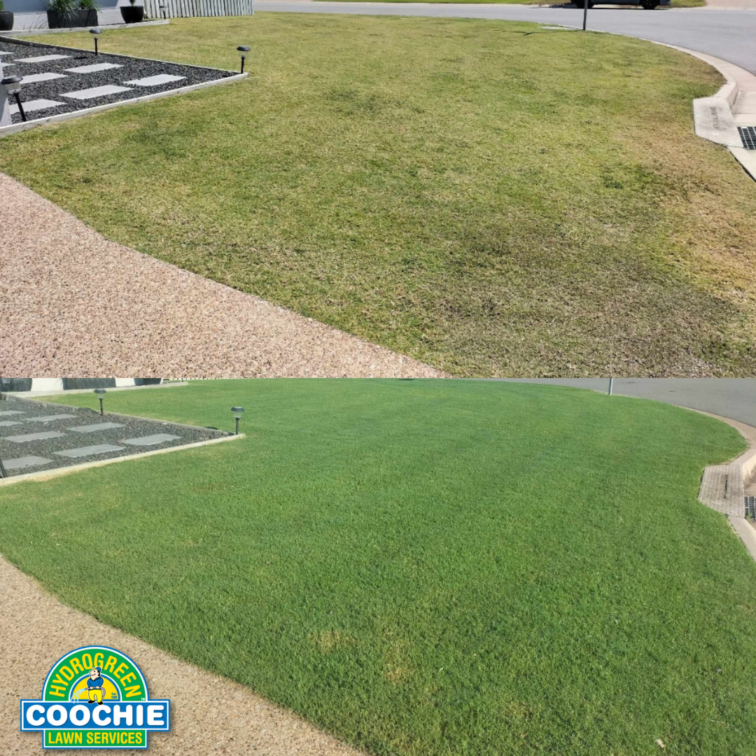 Coochie HydroGreen Townsville Facebook ad: Unlock a lush, green lawn