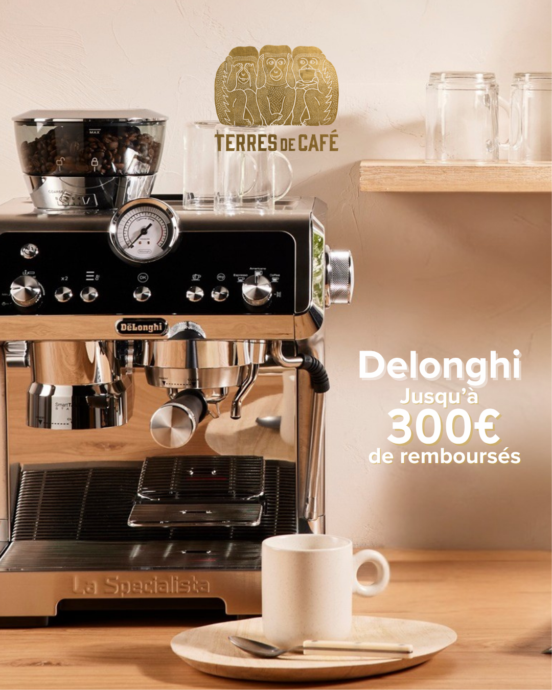 Terres de café Facebook ad