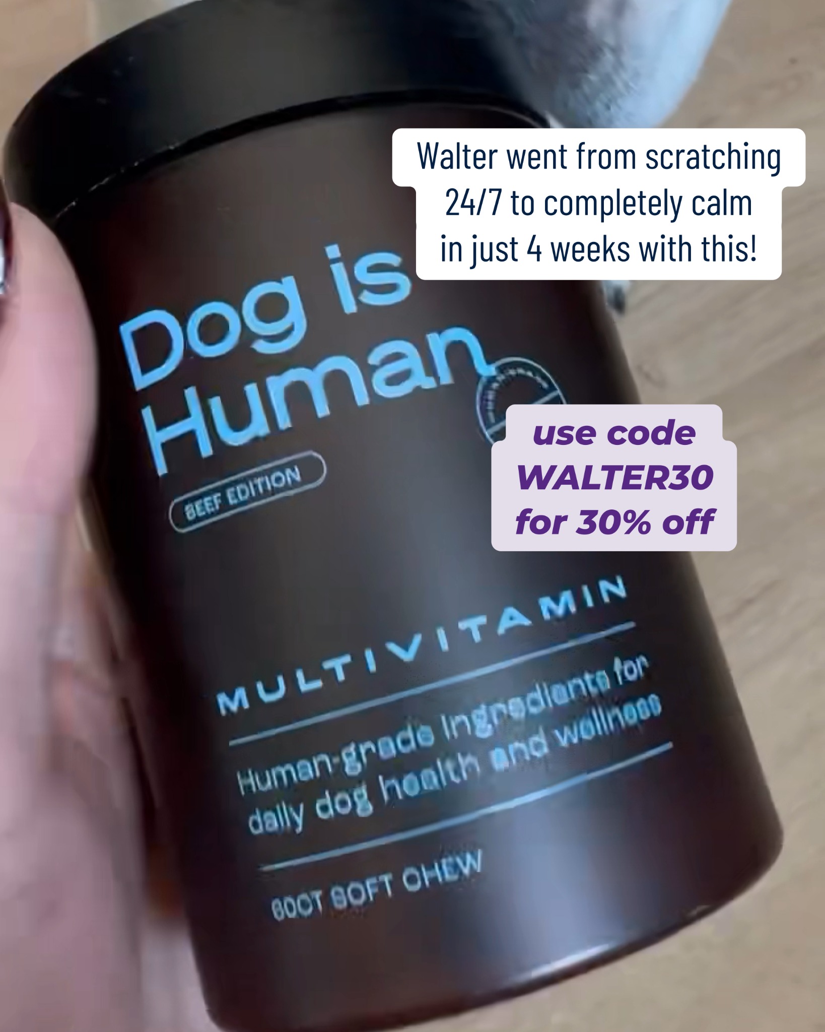 Dog is Human Facebook ad